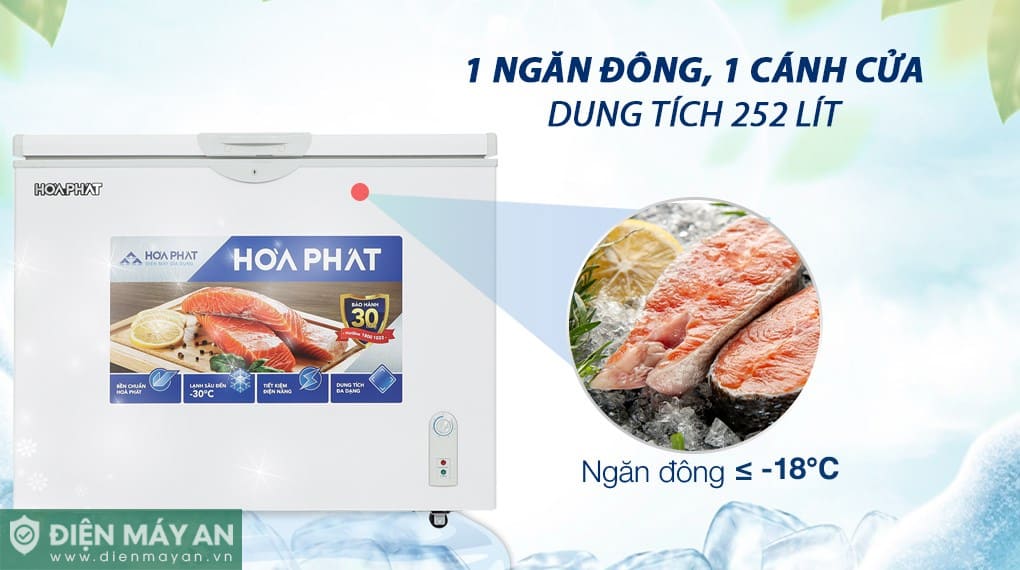 Tủ đông Hòa Phát 252 lít HPF AD6252